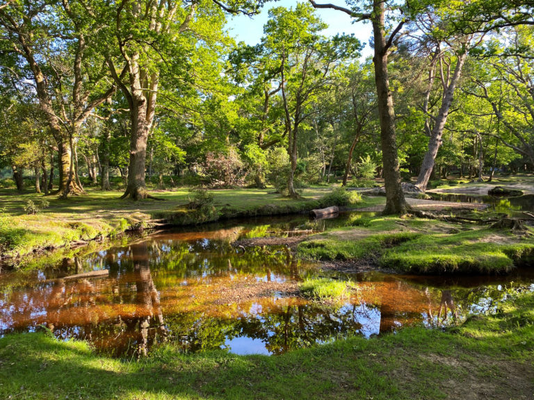 Ober Corner Paddling, Lymington River, Brockenhurst, New Forest, Hampshire