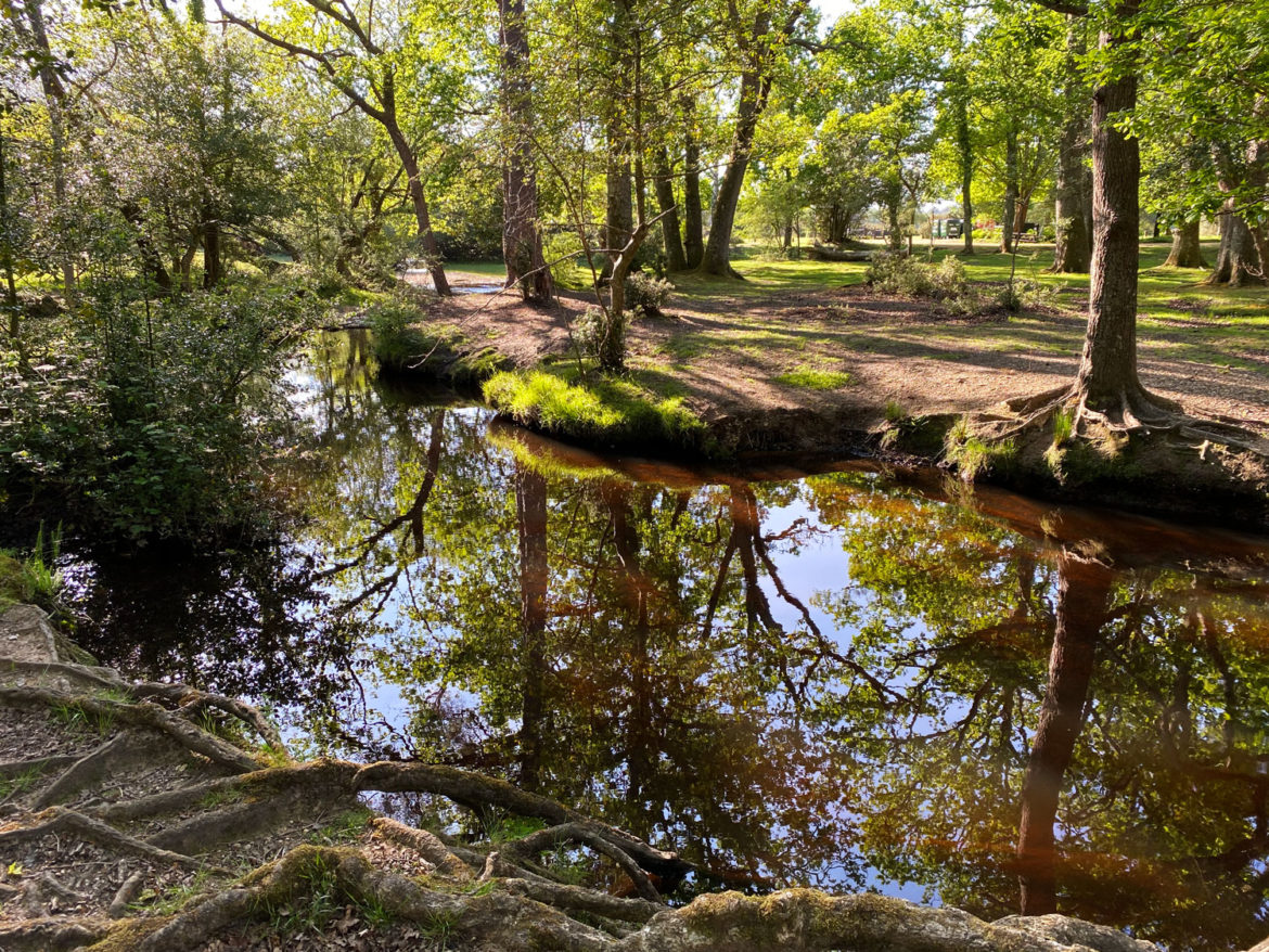 Ober-Corner-Paddling-Brockenhurs-New-Forest-Hampshire-014.jpg