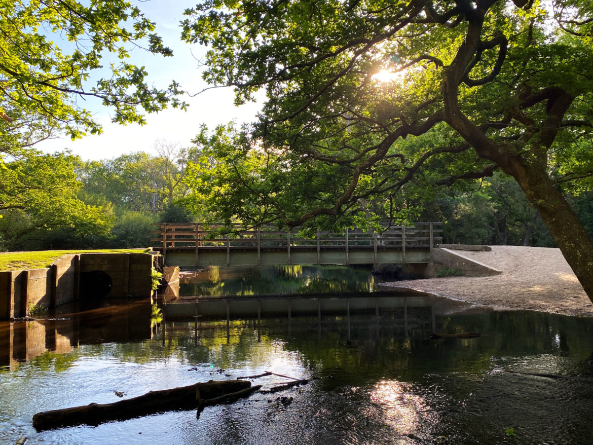 Ober-Corner-Paddling-Brockenhurs-New-Forest-Hampshire-04.jpg