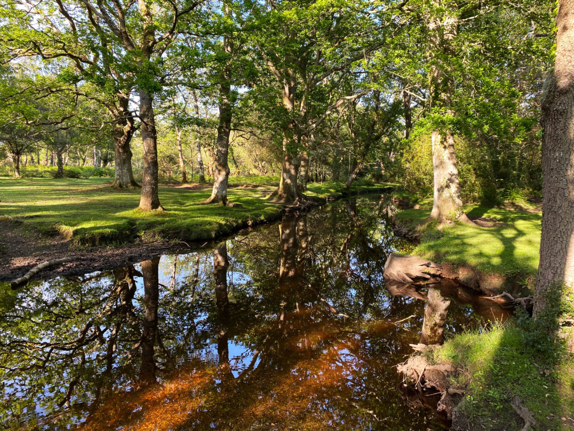 Ober-Corner-Paddling-Brockenhurs-New-Forest-Hampshire-08.jpg