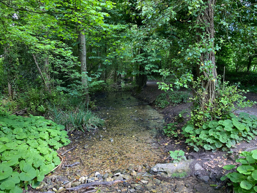 Ashford Hangers National Nature Reserve, Steep, Near Petersfield, Hampshire