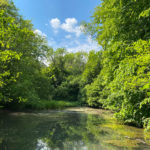 Ashford Hangers National Nature Reserve, Steep, Near Petersfield, Hampshire