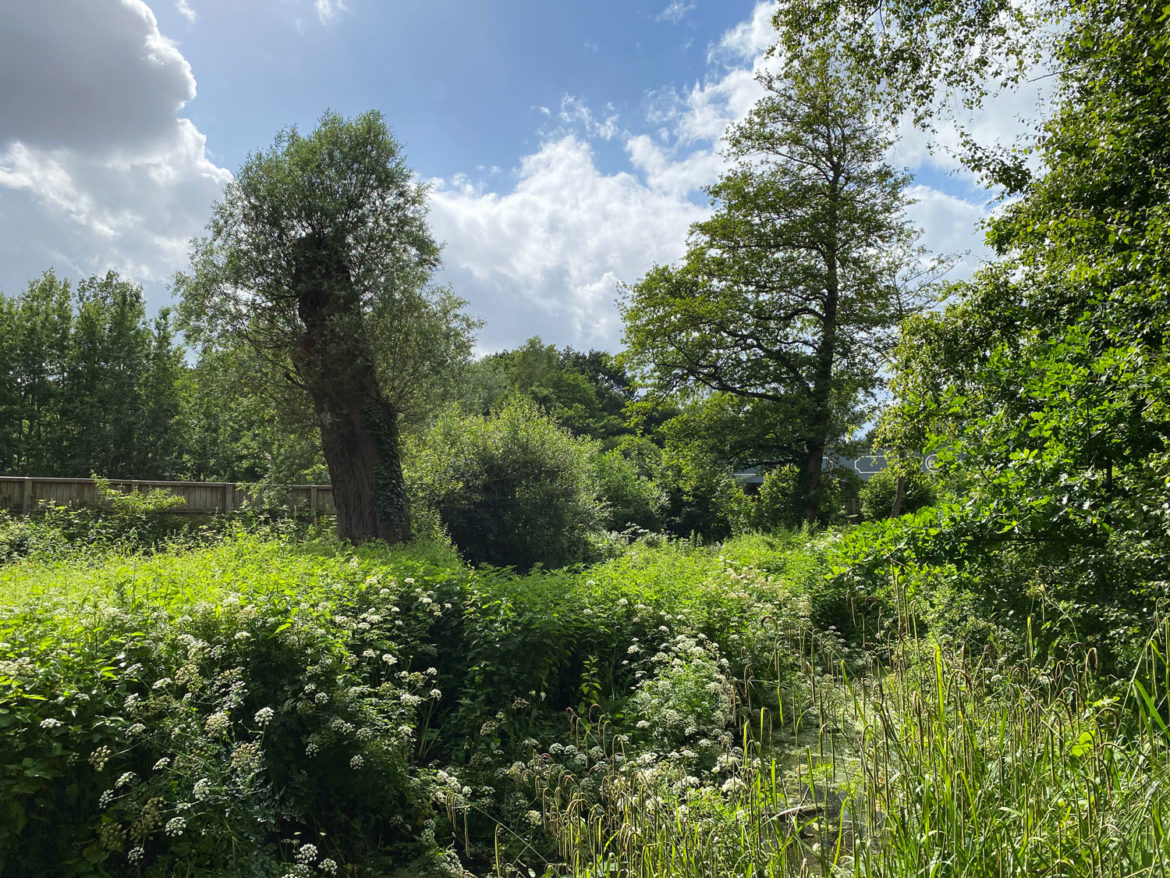 Lakeside-Nature-Reserve-Adventure-Play-Area-Ash-Vale-Surrey-102.jpg