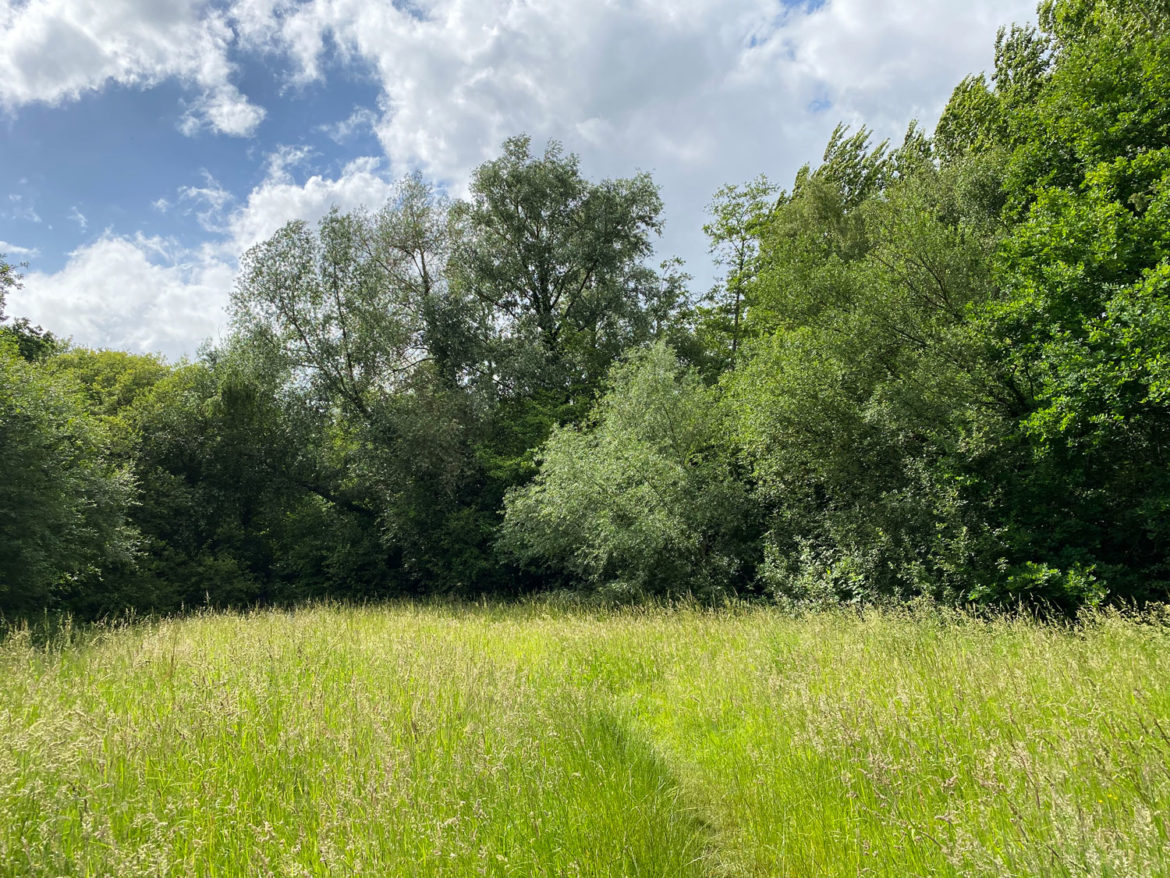 Lakeside-Nature-Reserve-Adventure-Play-Area-Ash-Vale-Surrey-103.jpg