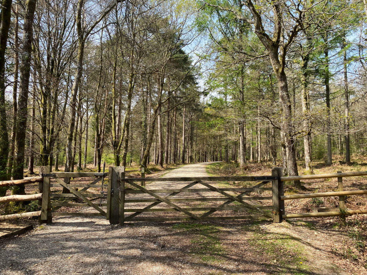 Millyford-Bridge-Near-Lyndhurst-New-Forest-Hampshire-04.jpg