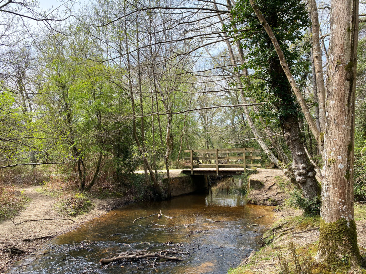 Millyford-Bridge-Near-Lyndhurst-New-Forest-Hampshire-12.jpg