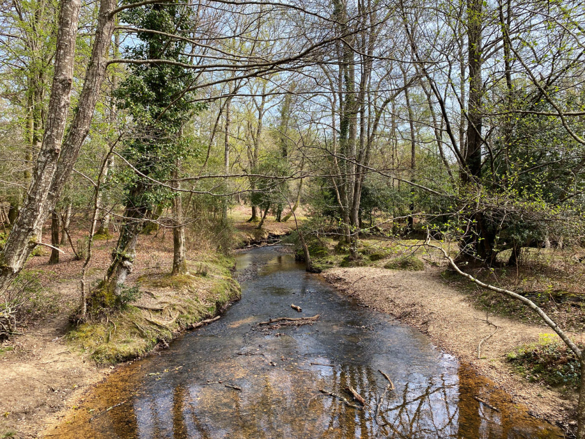 Millyford-Bridge-Near-Lyndhurst-New-Forest-Hampshire-13.jpg