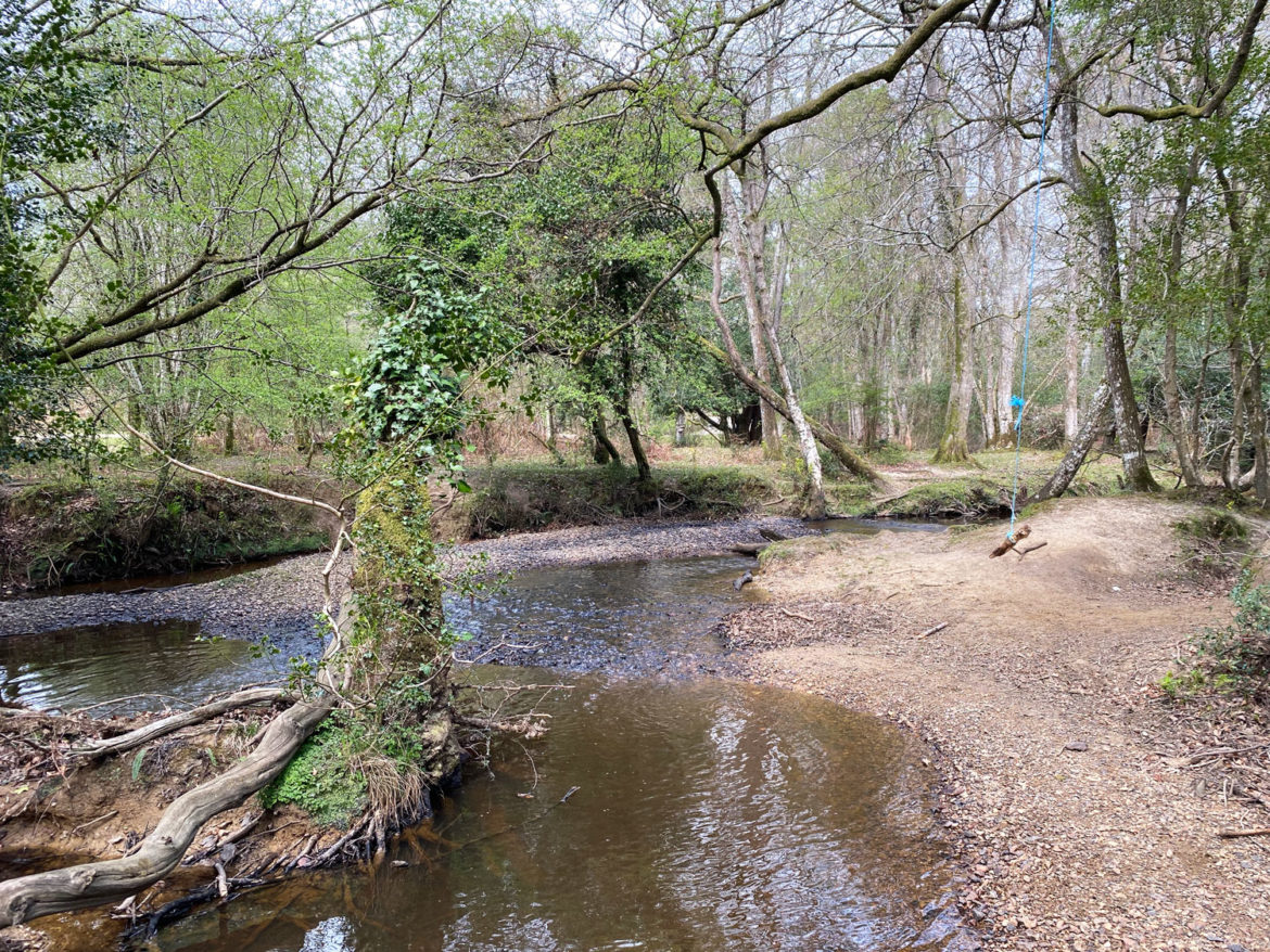 Millyford-Bridge-Near-Lyndhurst-New-Forest-Hampshire-16.jpg