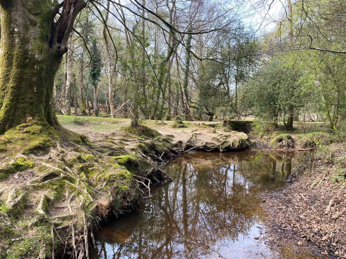 Millyford-Bridge-Near-Lyndhurst-New-Forest-Hampshire-17.jpg