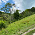 Shoulder of Mutton Hill, Edward Thomas Stone, Ashford Hangers National Nature Reserve, Steep, Near Petersfield, Hampshire