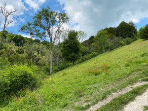 Shoulder of Mutton Hill, Edward Thomas Stone, Ashford Hangers National Nature Reserve, Steep, Near Petersfield, Hampshire