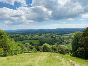 Shoulder of Mutton Hill, Edward Thomas Stone, Ashford Hangers National Nature Reserve, Steep, Near Petersfield, Hampshire