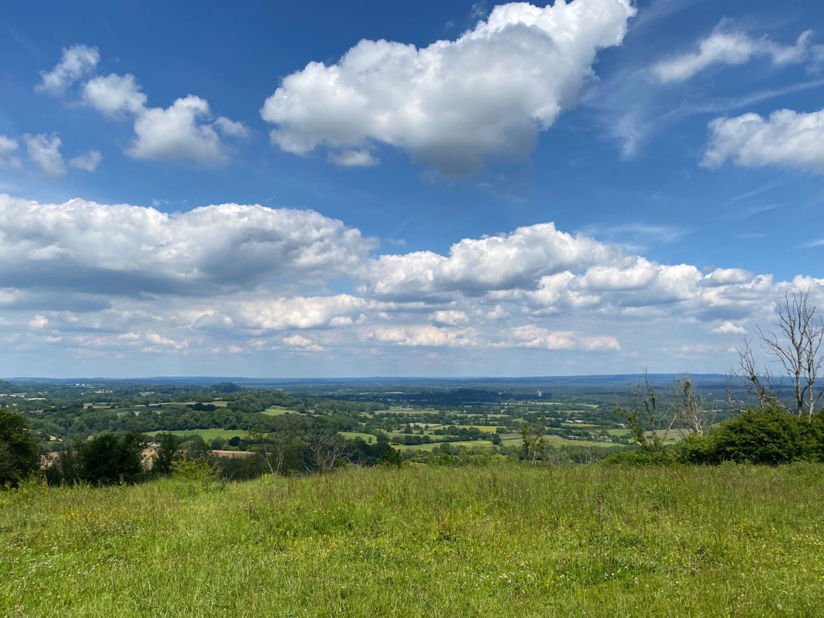 Wheatham-Hill-Ashford-Hangers-National-Nature-Reserve-Steep-Petersfield-Hampshire-204.jpg