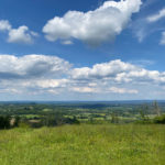 Wheatham Hill, Ashford Hangers National Nature Reserve, Steep, Near Petersfield, Hampshire