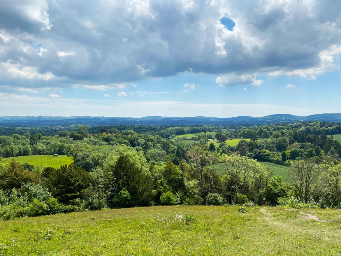 Wheatham-Hill-Ashford-Hangers-National-Nature-Reserve-Steep-Petersfield-Hampshire-206.jpg