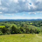 Shoulder of Mutton Hill, Ashford Hangers National Nature Reserve, Steep, Near Petersfield, Hampshire