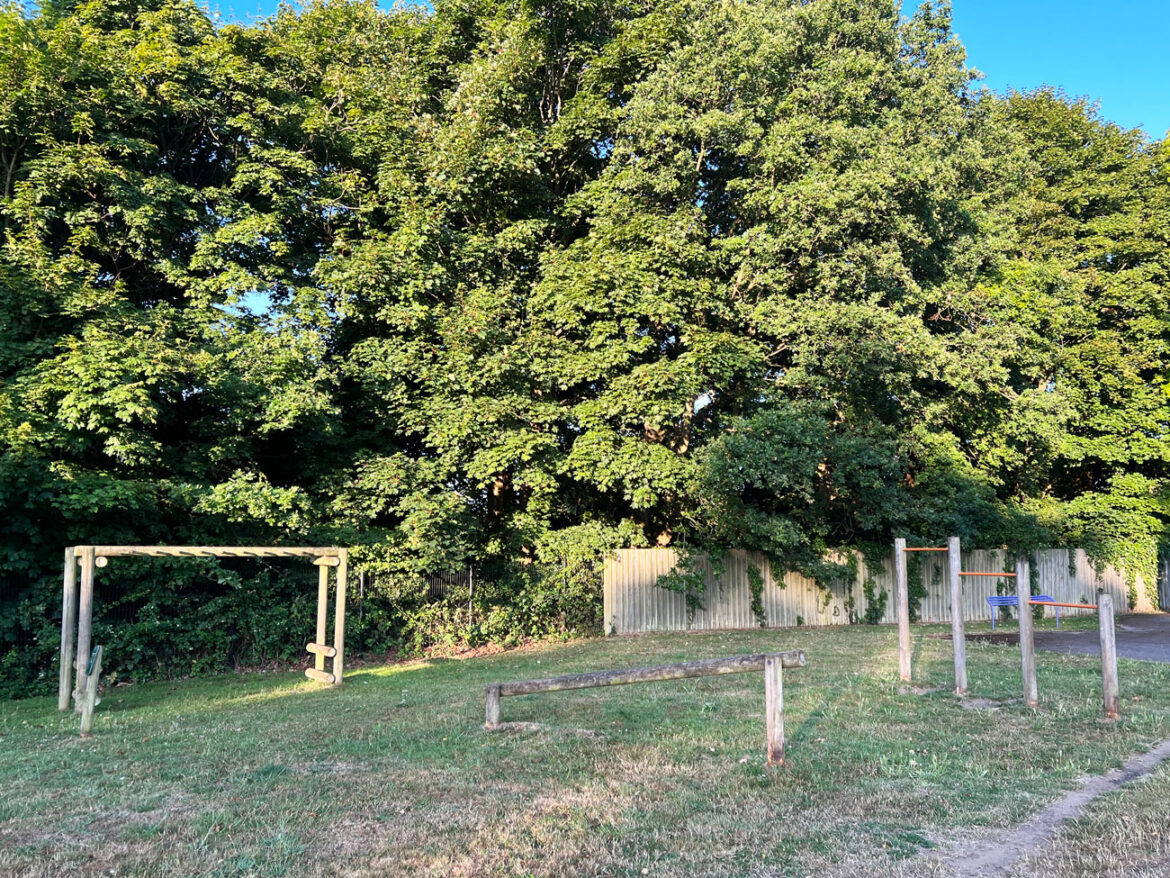 Aarons-Hill-Play-Area-in-Godalming-209.jpg