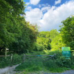 Ashford Hangers National Nature Reserve, Steep, Near Petersfield, Hampshire