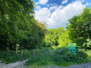 Ashford Hangers National Nature Reserve, Steep, Near Petersfield, Hampshire