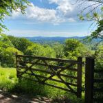 Ashford Hangers National Nature Reserve, Steep, Near Petersfield, Hampshire