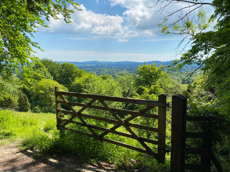 Ashford Hangers National Nature Reserve, Steep, Near Petersfield, Hampshire