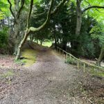 Ashford Hangers National Nature Reserve, Steep, Near Petersfield, Hampshire