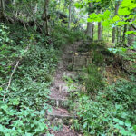 Ashford Hangers National Nature Reserve, Steep, Near Petersfield, Hampshire