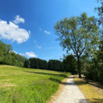 Ashford Hangers National Nature Reserve, Steep, Near Petersfield, Hampshire