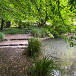 Ashford Hangers National Nature Reserve, Steep, Near Petersfield, Hampshire