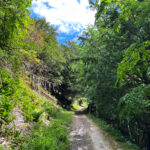 Ashford Hangers National Nature Reserve, Steep, Near Petersfield, Hampshire