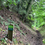 Ashford Hangers National Nature Reserve, Steep, Near Petersfield, Hampshire