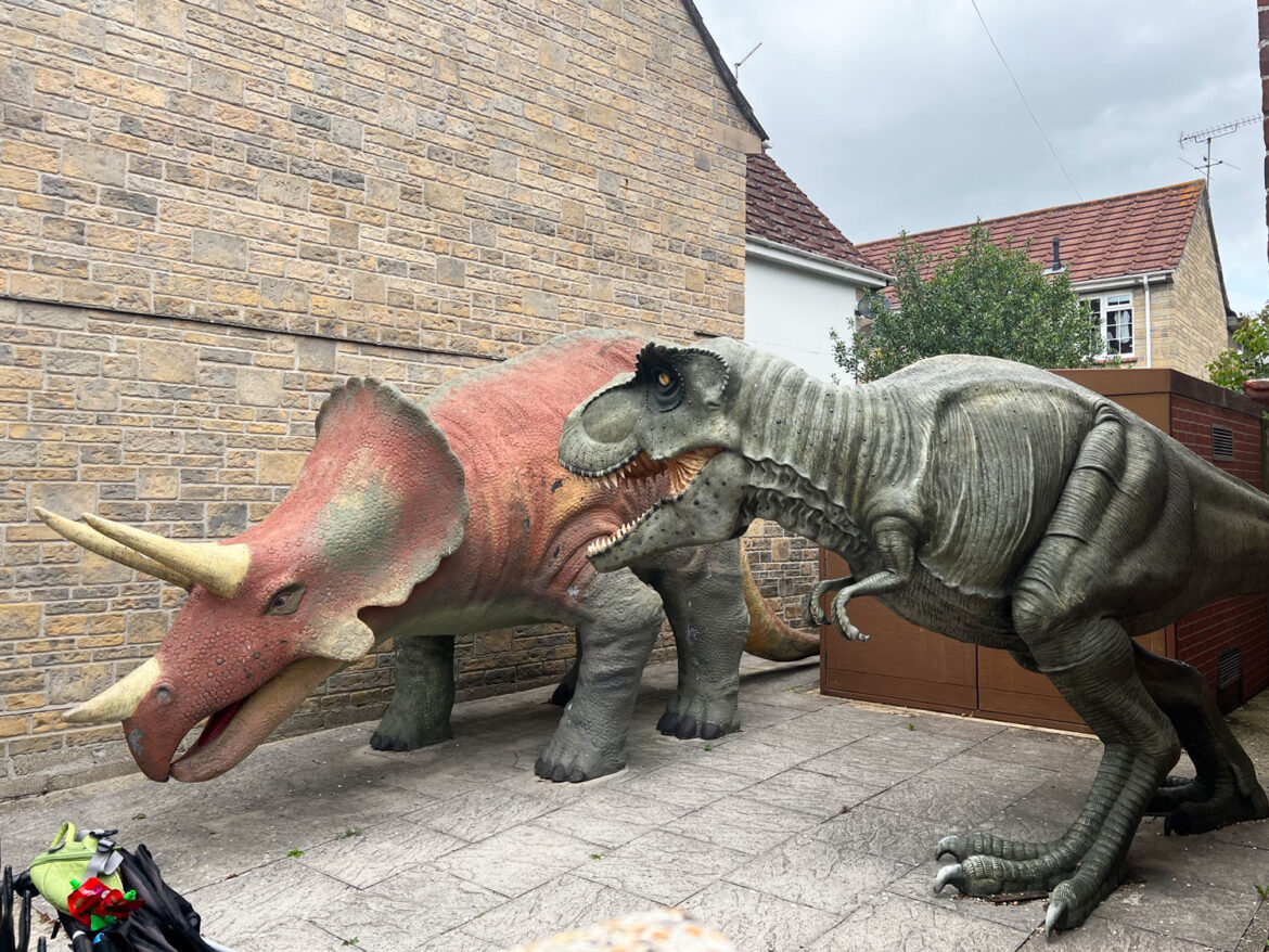 Dinosaur-Museum-Dorchester-Dorset-1.jpg