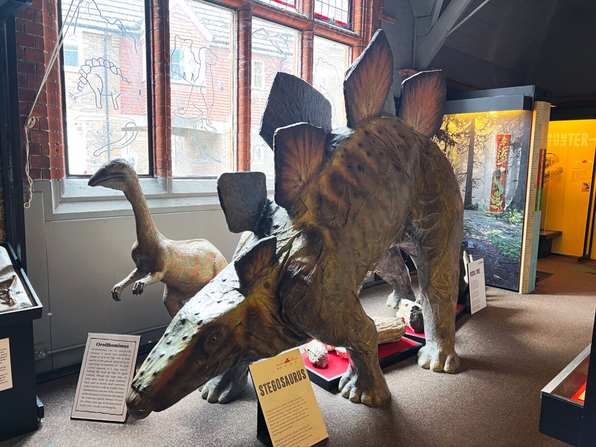 Dinosaur-Museum-Dorchester-Dorset-10.jpg