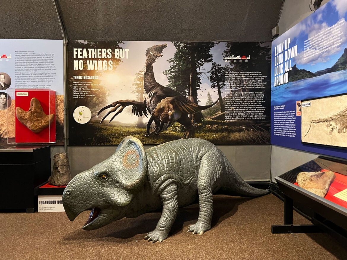 Dinosaur-Museum-Dorchester-Dorset-12.jpg