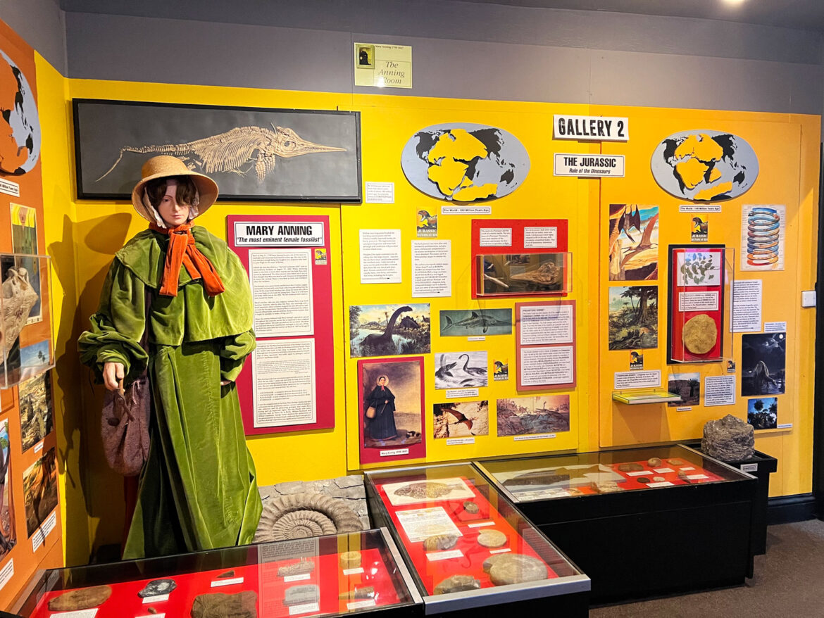 Dinosaur-Museum-Dorchester-Dorset-15.jpg