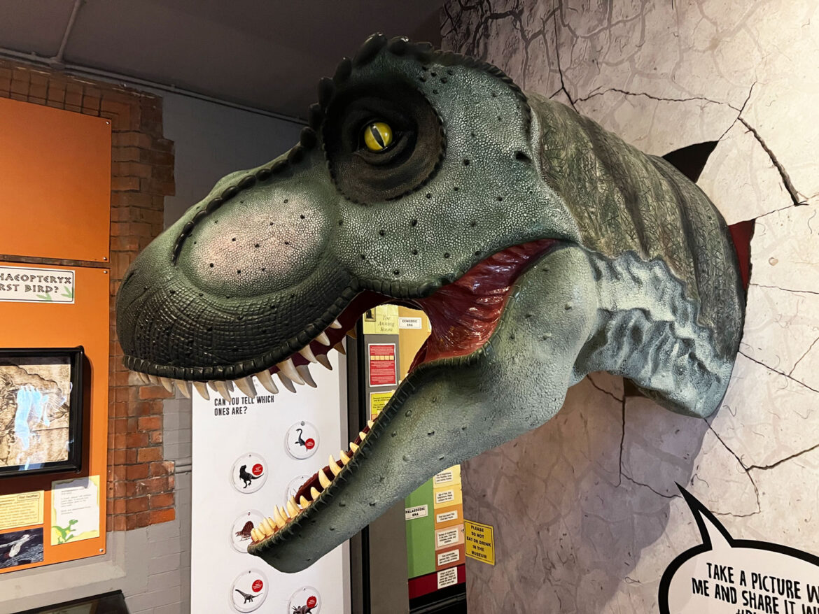 Dinosaur-Museum-Dorchester-Dorset-4.jpg