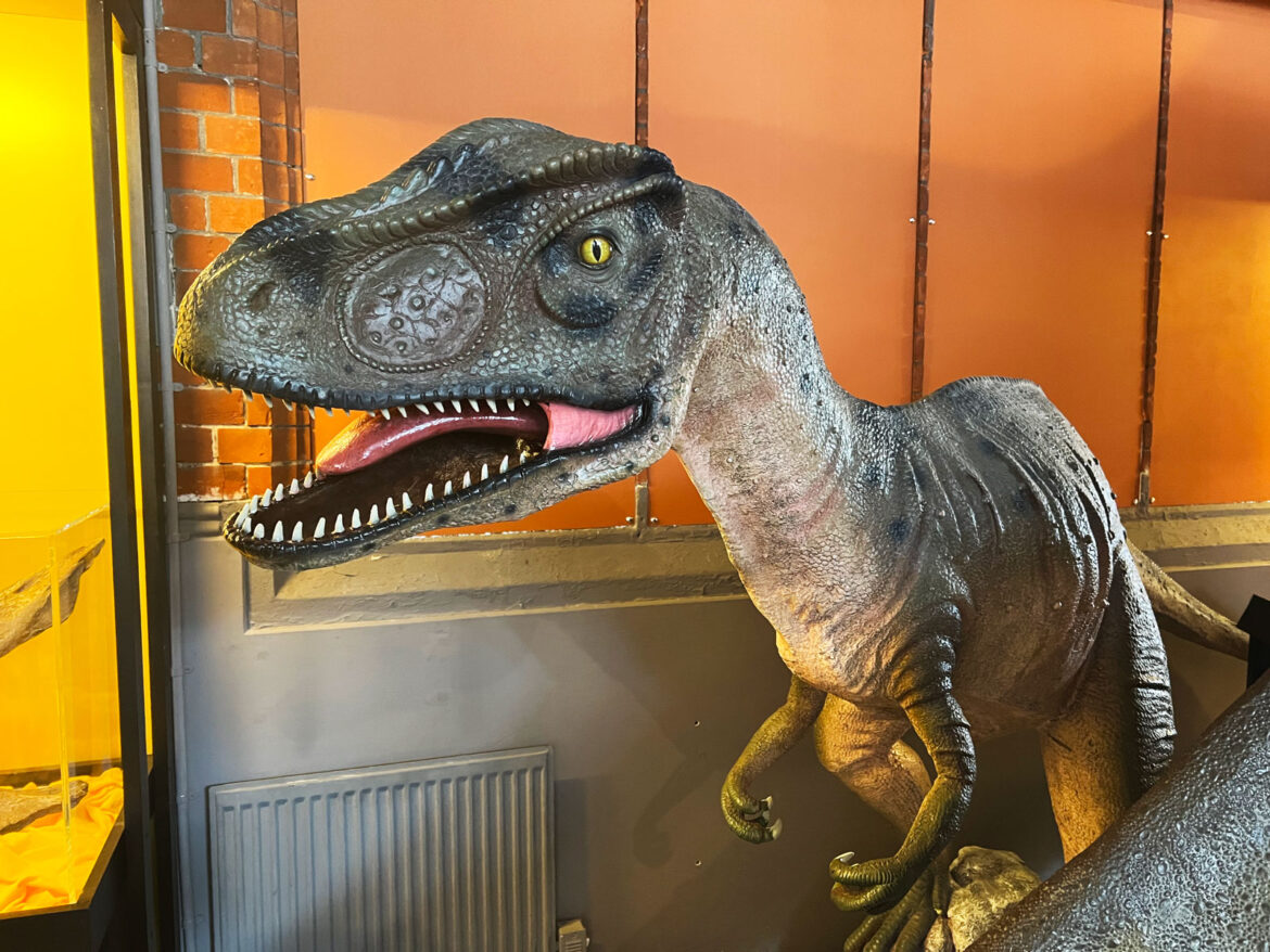 Dinosaur-Museum-Dorchester-Dorset-6.jpg
