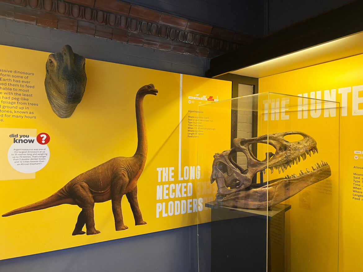 Dinosaur-Museum-Dorchester-Dorset-7.jpg