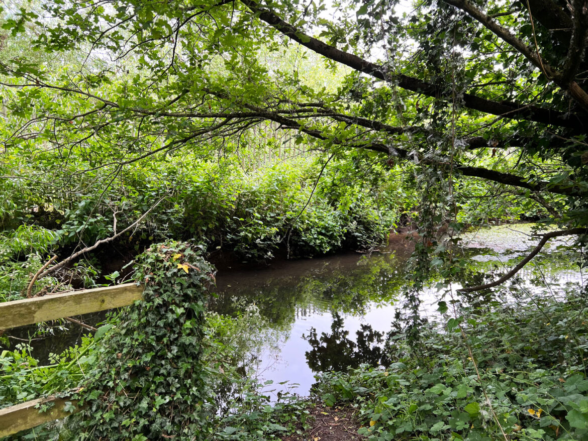 Ivy-Road-Recreation-Ground-Play-Area-North-Town-Aldershot-302.jpg
