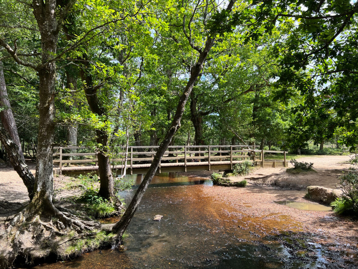 Puttles-Bridge-in-the-New-Forest-Brockenhurst-Hampshire-1.jpg