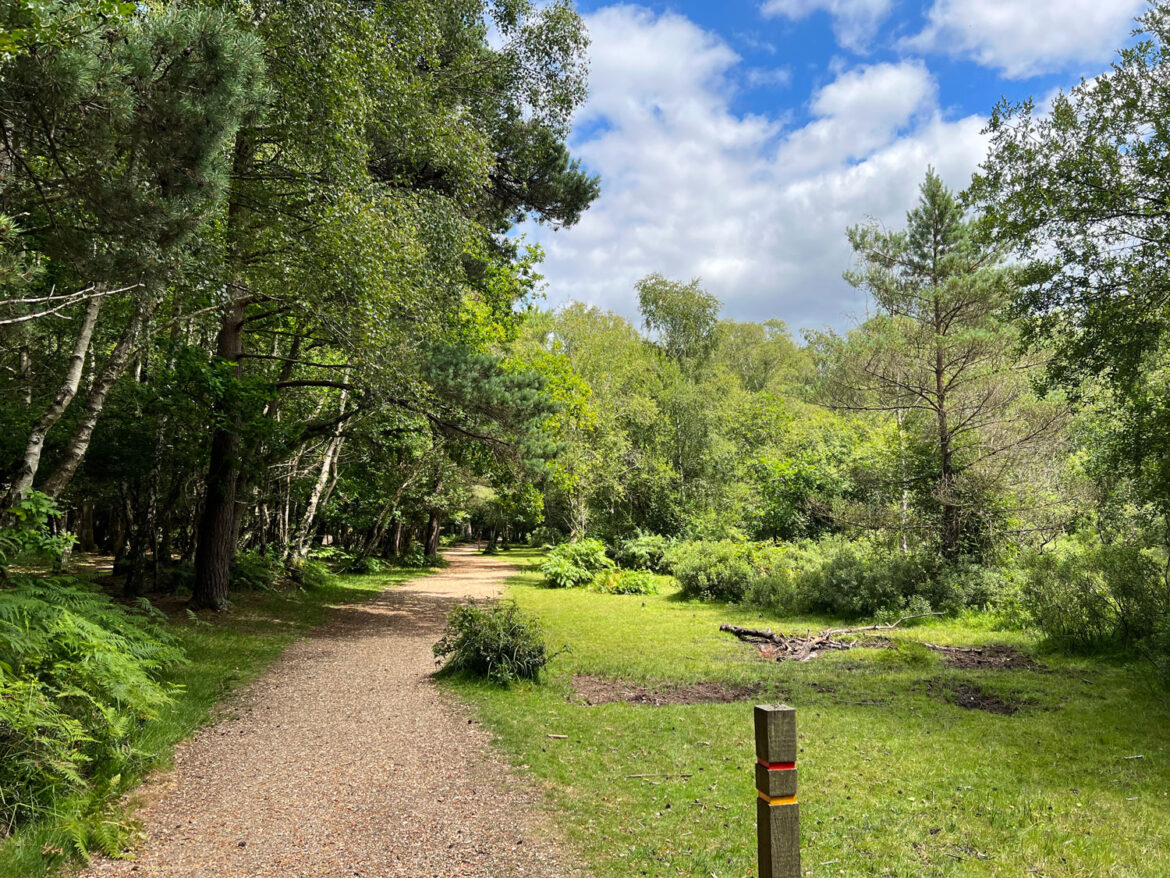 Puttles-Bridge-in-the-New-Forest-Brockenhurst-Hampshire-11.jpg