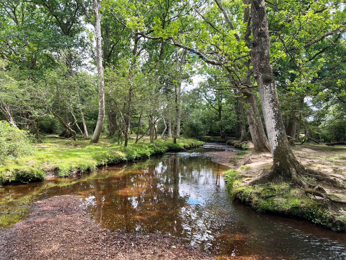 Puttles-Bridge-in-the-New-Forest-Brockenhurst-Hampshire-16.jpg