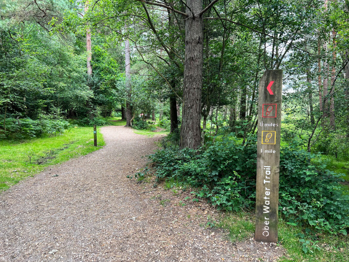 Puttles-Bridge-in-the-New-Forest-Brockenhurst-Hampshire-3.jpg