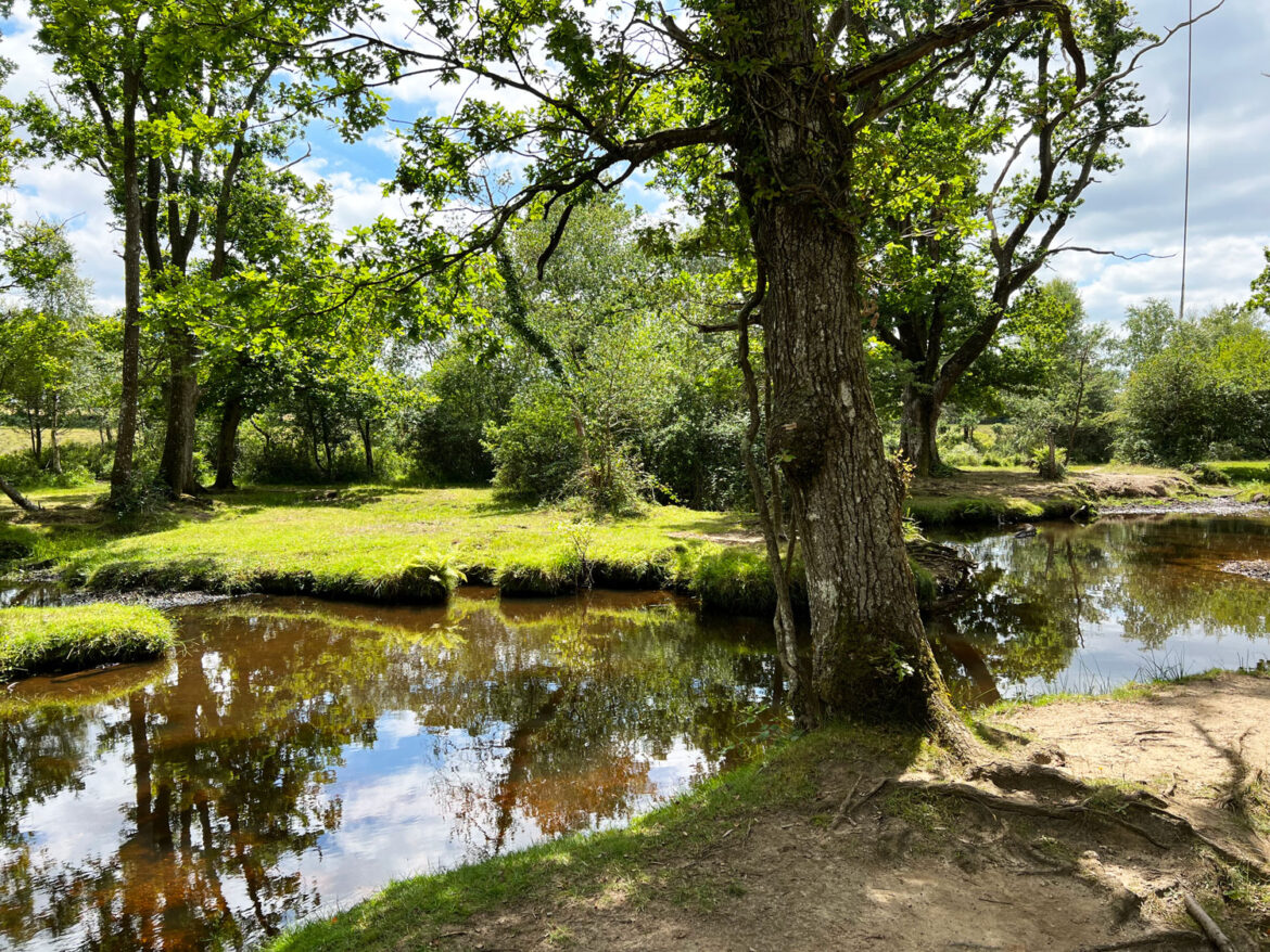 Puttles-Bridge-in-the-New-Forest-Brockenhurst-Hampshire-4.jpg