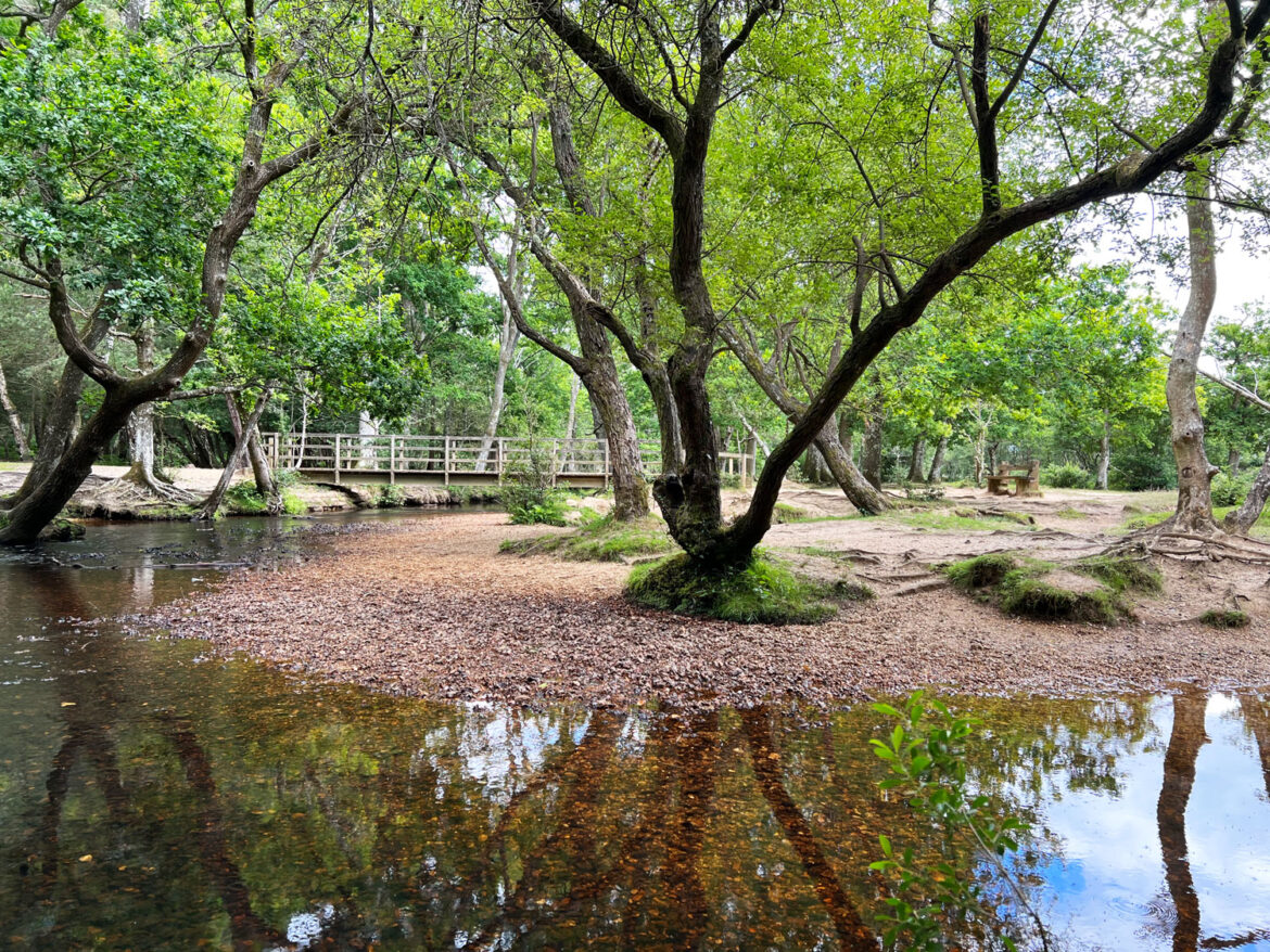 Puttles-Bridge-in-the-New-Forest-Brockenhurst-Hampshire-8.jpg