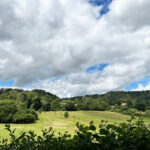 Shoulder of Mutton Hill, Edward Thomas Stone, Ashford Hangers National Nature Reserve, Steep, Near Petersfield, Hampshire