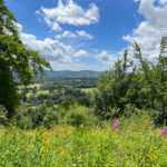Shoulder of Mutton Hill, Edward Thomas Stone, Ashford Hangers National Nature Reserve, Steep, Near Petersfield, Hampshire