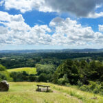 Shoulder of Mutton Hill, Edward Thomas Stone, Ashford Hangers National Nature Reserve, Steep, Near Petersfield, Hampshire