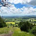 Shoulder of Mutton Hill, Edward Thomas Stone, Ashford Hangers National Nature Reserve, Steep, Near Petersfield, Hampshire