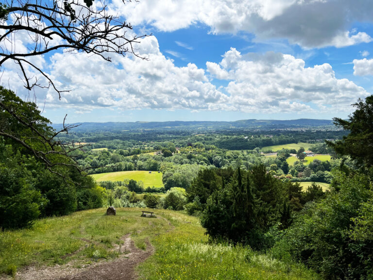 Shoulder of Mutton Hill, Edward Thomas Stone, Ashford Hangers National Nature Reserve, Steep, Near Petersfield, Hampshire